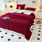 Fluffy Sherpa Shell Blanket — product close-up