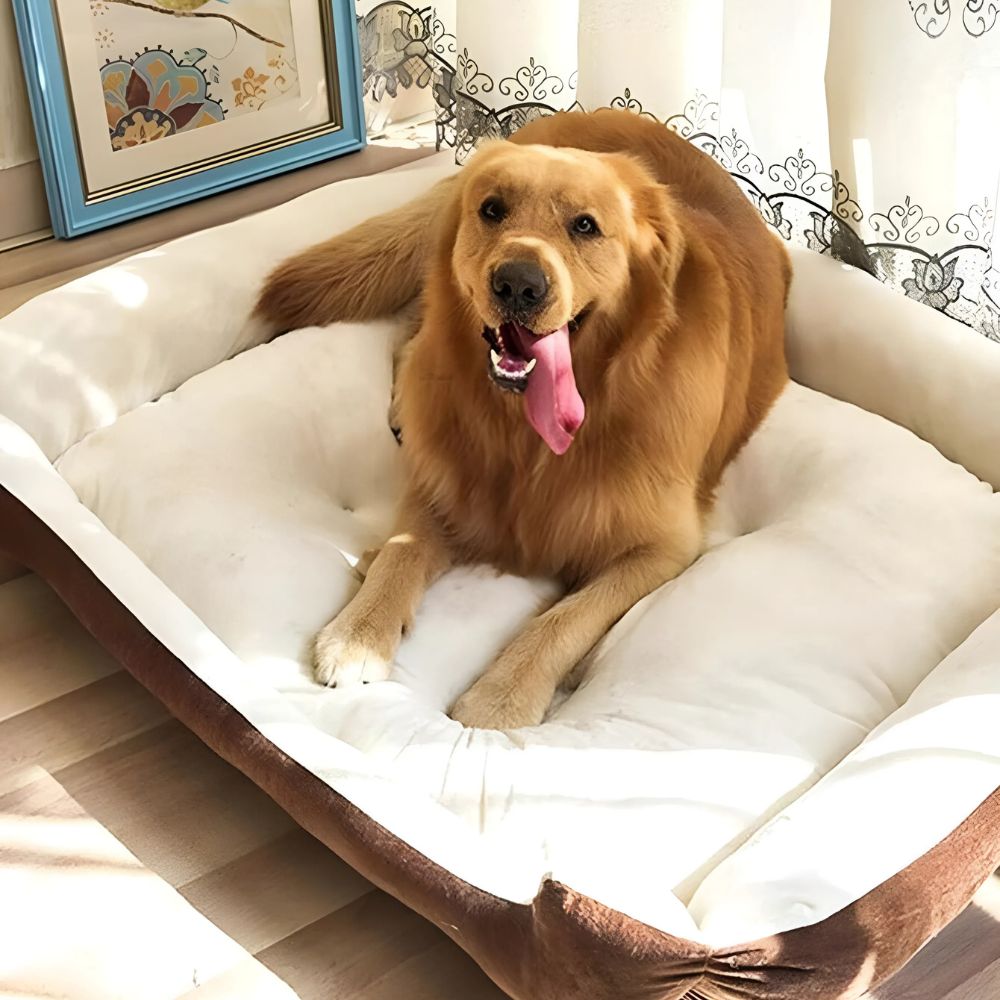 Fluff Zone Pet Bed — product in use
