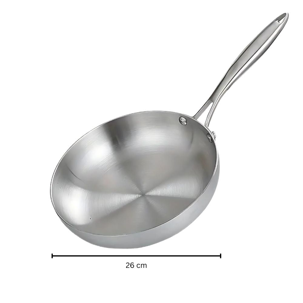 Stainless Steel Frying Pan — size and scale reference