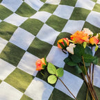 All-Season Checkered Picnic Blanket with Fringe — product in use